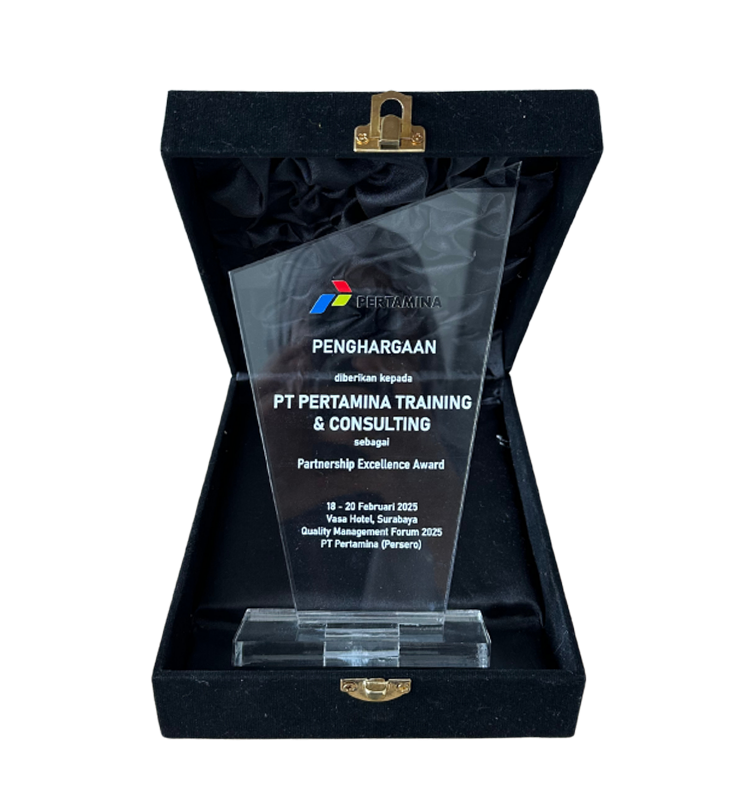 Partnership Excellence Award